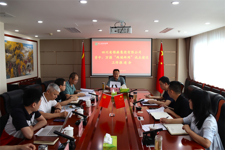 鄧華主持召開資中、萬源“兩端兩網(wǎng)”試點建設工作推進會